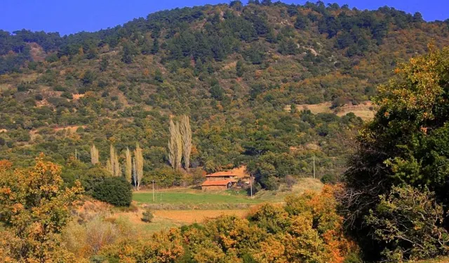 İzmir’in Huzurlu Cenneti: Günlüce Köyü