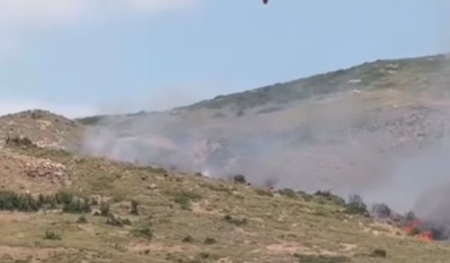 Menemen Koyundere'de korkutan yangın! Havadan müdahale sürüyor