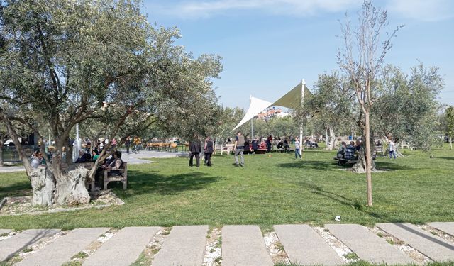 Bergama’nın Zeytinli Park'ı neden eleştiriliyor? Vatandaş eksikleri tek tek sıraladı