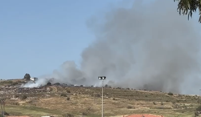 Dikili’de Otluk Alanda Yangın Paniği!
