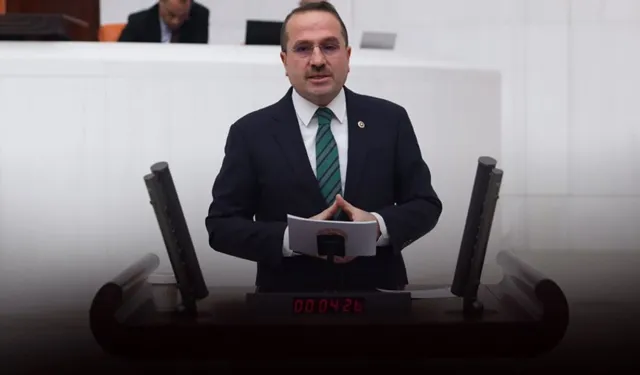 AK Partili Kırkpınar’a göre ‘zeytin ağaçları katledilecek’ söylemi manipülasyon