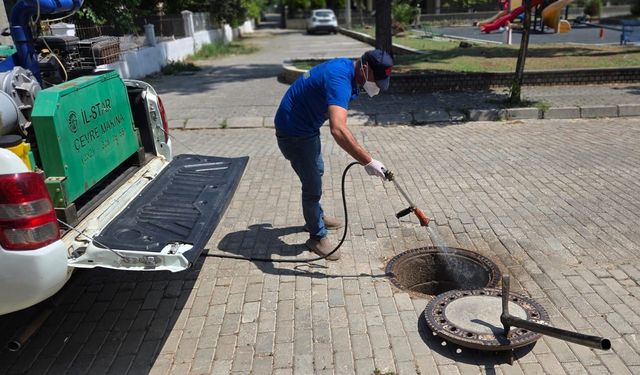 Aydın Efeler sıcağa teslim: Haşereler kapı pencere açtırmıyor!