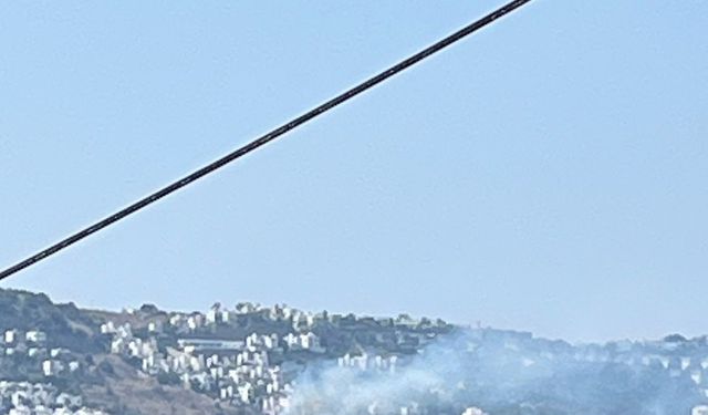 Bodrum'da otluk alanda yangın: Erken müdahale felaketi önledi