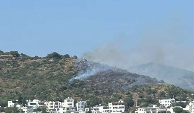 Bodrum'da makilik alanda yangın: Havadan ve karadan müdahale