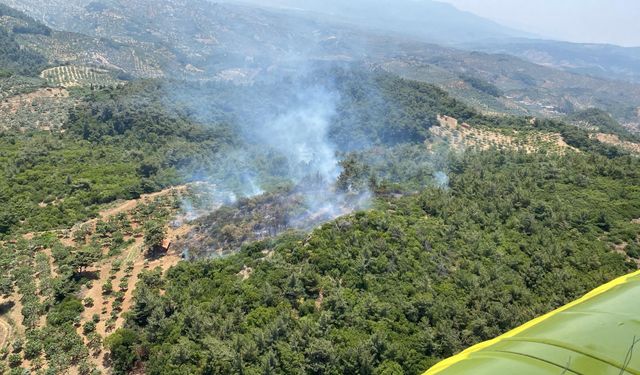 Germencik’te orman yangını alarmı: Karadan ve havadan müdahale sürüyor