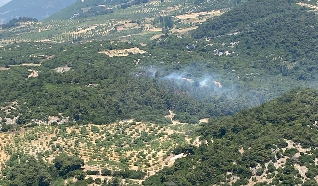 Germencik’te orman yangını kontrol altına alındı