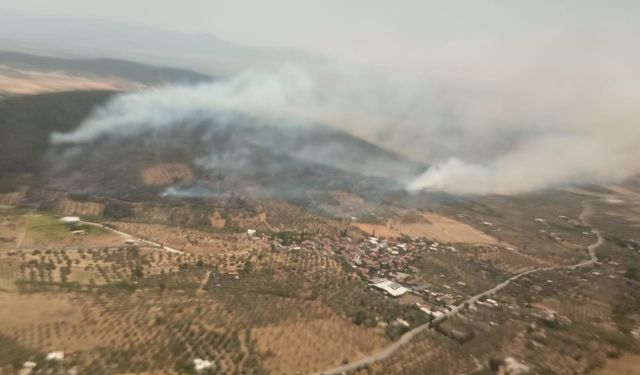 Foça'daki yangında alevler rüzgârla yayıldı: Ekip sayısı artırıldı