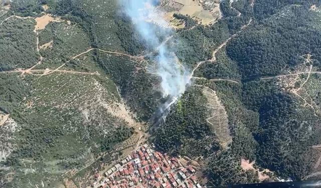 Soma’da Orman Yangını Serisi: Endişe Artıyor