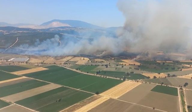 İzmir'de orman yangını: Havadan ve karadan müdahale