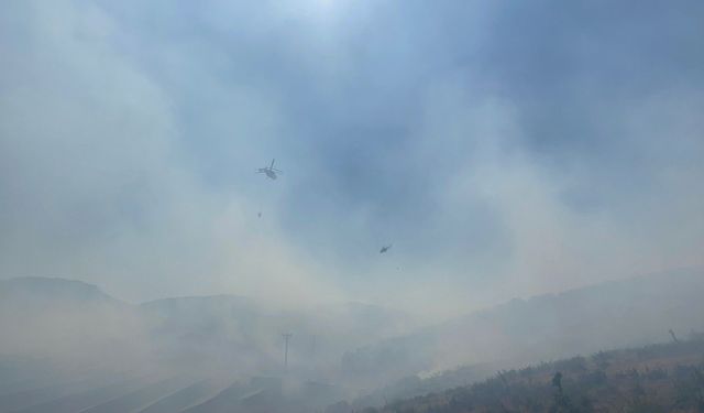 Manisa'da orman yangını alarmı