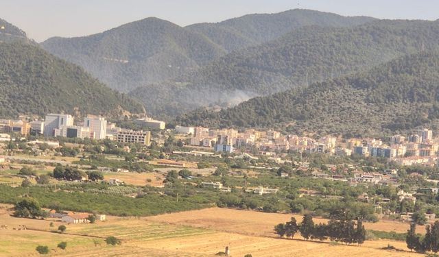 İzmir’de alev alarmı: Ormanda yangın