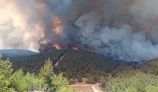 İzmir Foça’da alevlerle mücadele sürüyor