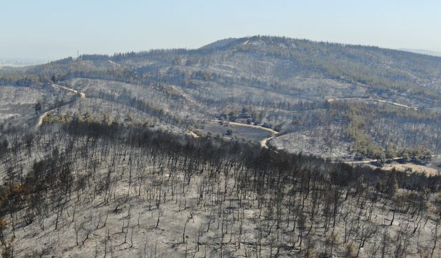 İzmir’deki yangının izleri dronla kaydedildi