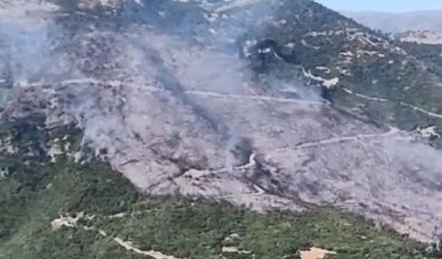 Aydın’da yangın alarmı