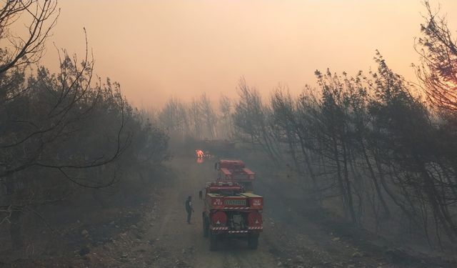 İzmir’de doğa yangınla sınanıyor