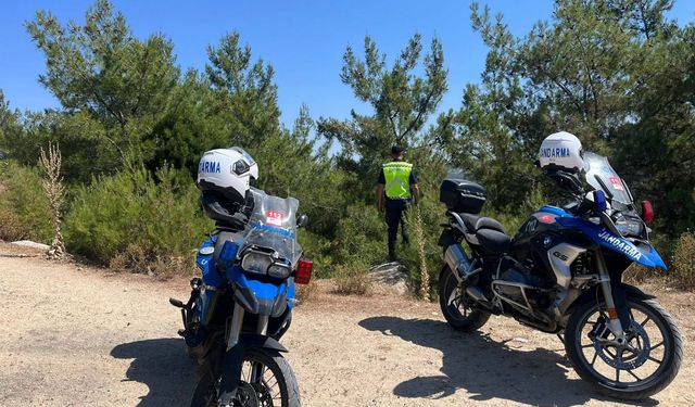 Aydın'da yangın seferberliği: Jandarma gözetimde