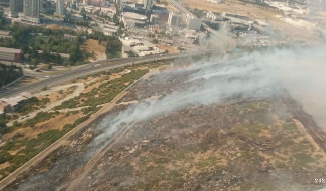 İzmir Bornova’da otluk alanda yangın çıktı!