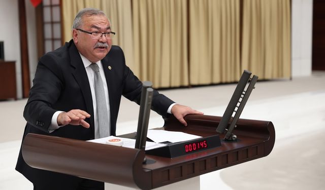 Rehabilitasyon merkezi hâlâ aktif: Bülbül Meclis’e taşıdı