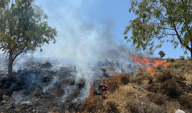 Bodrum Türkbükü’nde makilik alanda yangın: Helikopterli müdahale başlatıldı