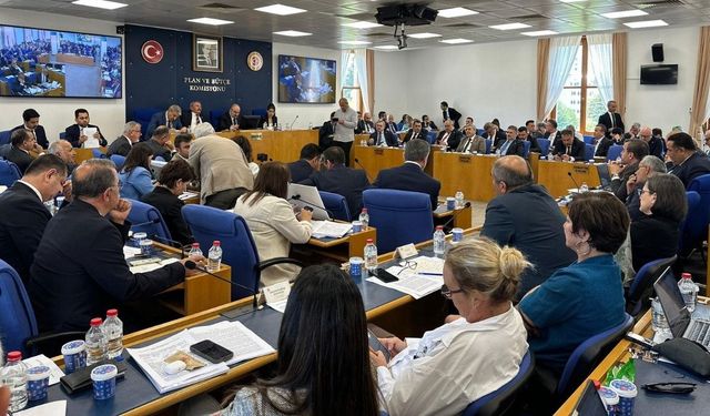 Zeytinlikler için tehlike çanları: Yasa komisyondan geçti