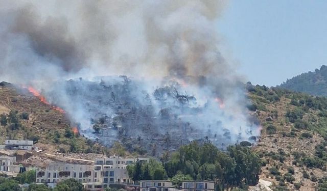Türkbükü’nde Makilik Yangını Sürüyor: Havadan ve Karadan Müdahale