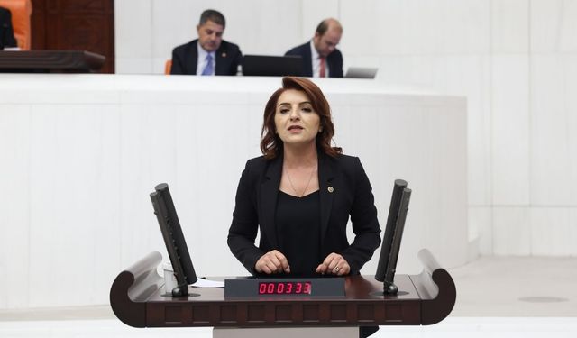 CHP’li Kış uyardı: Borçlar ve faiz rekor kırdı