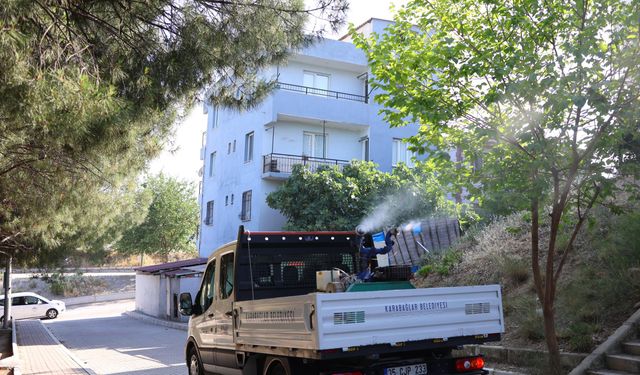 Karabağlar’da haşereyle mücadele seferberliği başladı