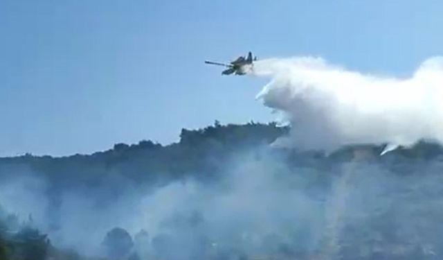 İzmir ve Aydın’da Yangın Alarmı: 48 Saatte 220 Müdahale