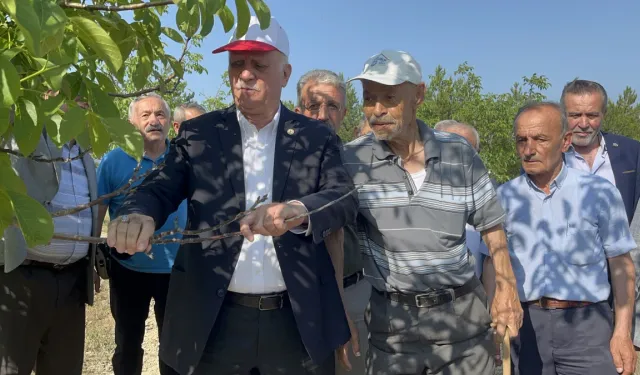 65 ilde tarım alarm veriyor: Zirai don büyük zarar verdi