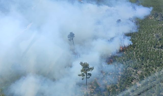 Manisa Soma’da Yangın Alarmı: Ekipler Seferber Oldu