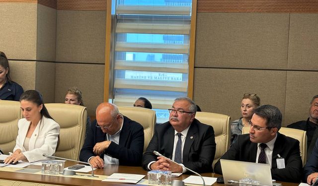 CHP’li Bülbül’den zeytinlik yasa teklifine sert tepki