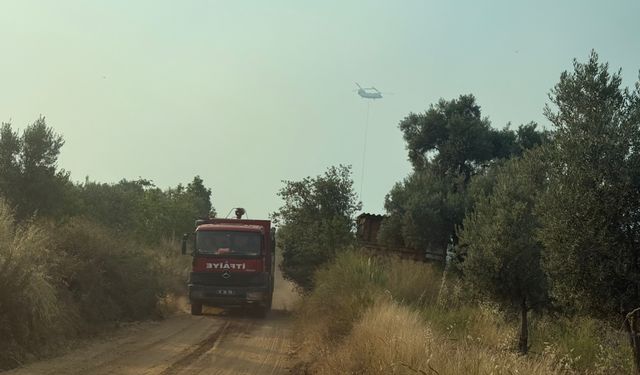 Ahmetli’de yangın büyümesin diye yoğun çaba harcanıyor