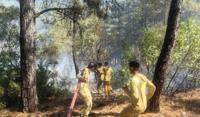 Muğla’da alevler durduruldu, tehlike geçti