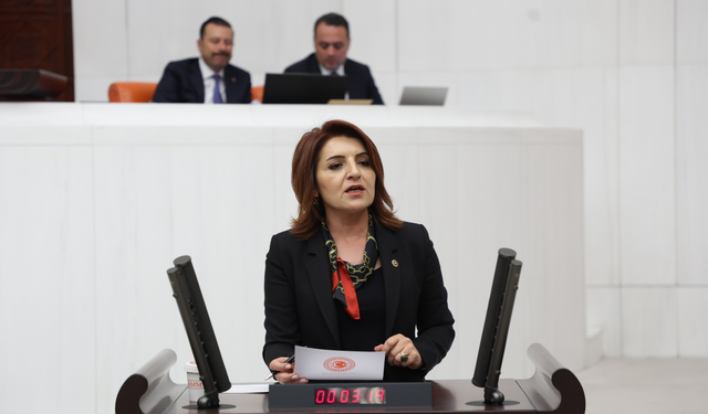CHP’li vekilden iktidara yangın eleştirisi!