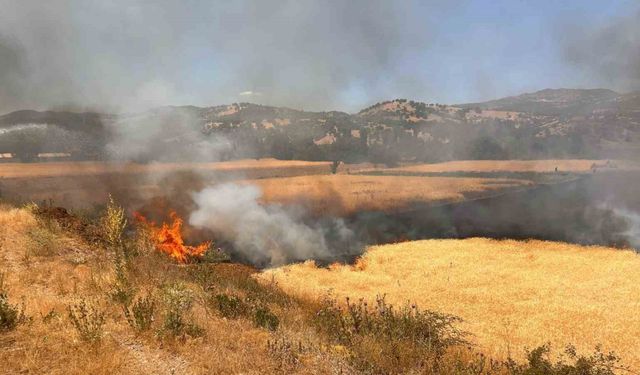 Hisarcık’ta biçerdöver kaynaklı yangında 2,5 dekar ekili alan zarar gördü