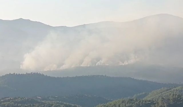 İzmir’de orman yangınına gün doğumu müdahalesi
