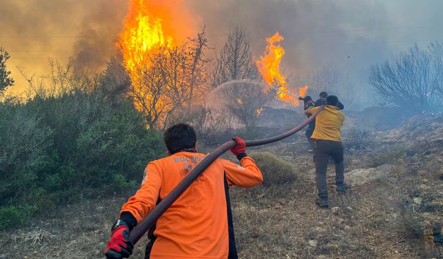 BUCAKUT ekibi İzmir yangınlarında kritik görev üstlendi