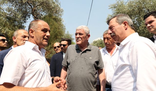 Dervişoğlu Bursa’daki yangın alanında konuştu