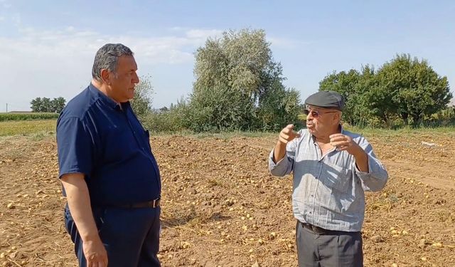 Gürer: "İktidar, bir patatesi sorununu çözemedi"
