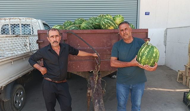 Karpuz üreticileri alarm veriyor
