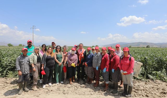 Türkiye Birincisi Olan Tarım Projesi Efeler'den