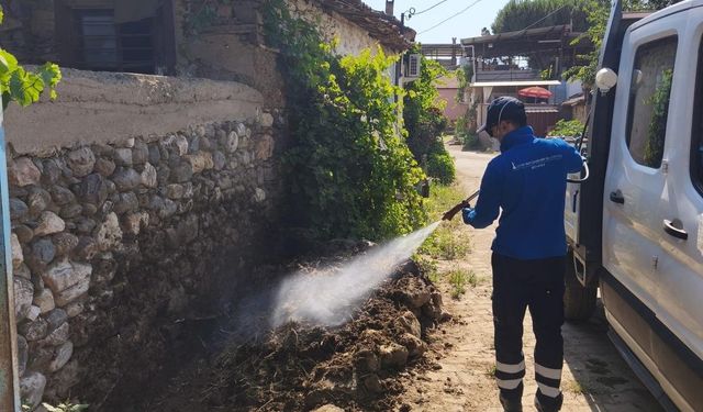 30 ilçede ilaçlama: İzmir’de sivrisinek alarmı