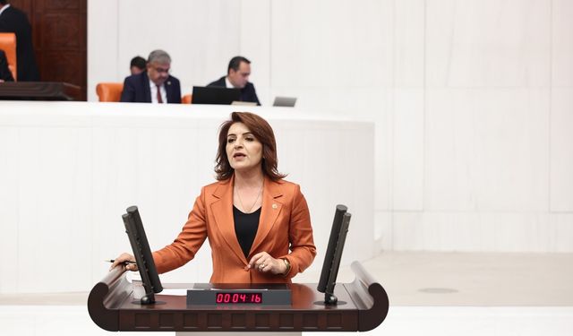 CHP’li Gülcan Kış: “Bu siyasi darbedir”