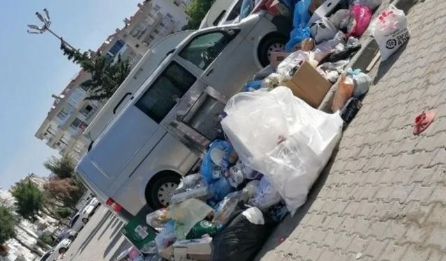 Nergiz Mahallesi'nde Çöp Sorunu: Vatandaşlar Şikayetçi