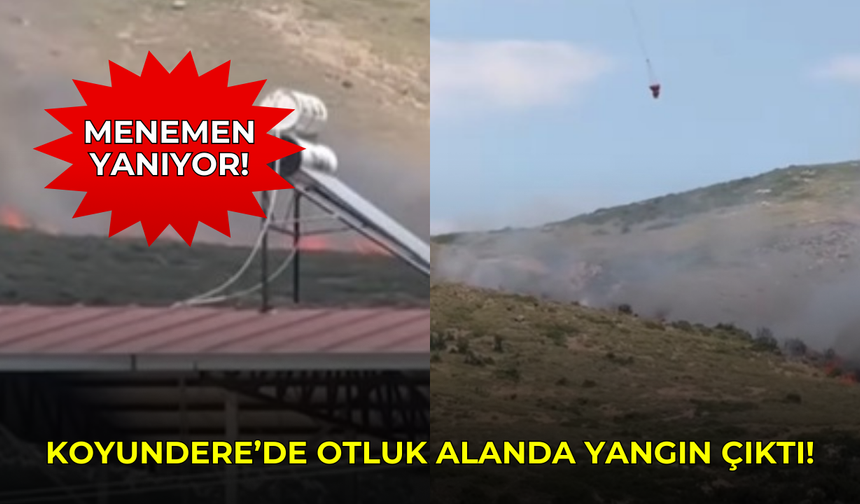 Menemen Koyundere'de korkutan yangın! Havadan müdahale sürüyor