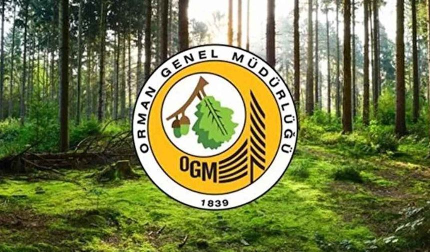 OGM 3.477 personel alımı sonuçları ne zaman açıklanacak? İşte beklenen tarih