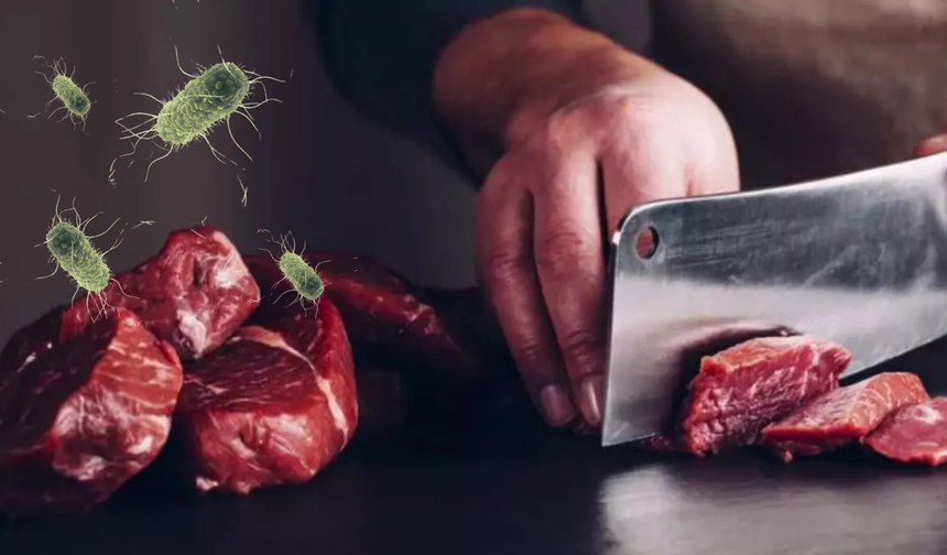 Kurban bayramı öncesi salmonella uyarısı: Etleri böyle pişirin!