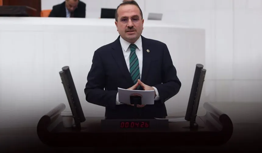 AK Partili Kırkpınar’a göre ‘zeytin ağaçları katledilecek’ söylemi manipülasyon