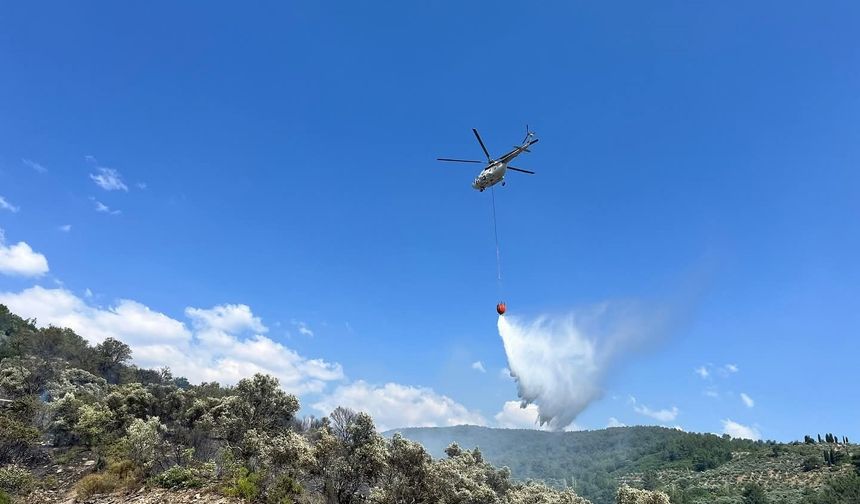 Menteşe’deki orman yangını kontrol altına alındı