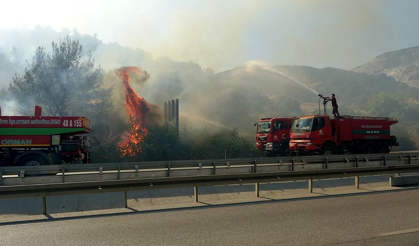 Söke’deki yangın kısa sürede kontrol altına alındı